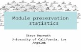 Steve Horvath University of California, Los Angeles Module preservation statistics.