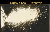 Biophysical Hazards. Reading Smith Ch 10 Biophysical Hazards “dustbin” category for various assorted hazards –disease –extremes of temperature –wildfire.