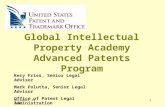 November 29, 20071 Global Intellectual Property Academy Advanced Patents Program Kery Fries, Senior Legal Advisor Mark Polutta, Senior Legal Advisor Office.