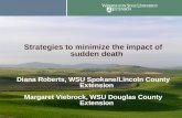 Strategies to minimize the impact of sudden death Diana Roberts, WSU Spokane/Lincoln County Extension Margaret Viebrock, WSU Douglas County Extension.