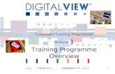 09/07/04DV Training June 20041 Corporate Training Programme Module 1 Training Programme Overview.