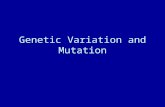Genetic Variation and Mutation. Definitions and Terminology Microevolution –Changes within populations or species in gene frequencies and distributions.