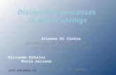Dissipation processes in Metal springs Arianna Di Cintio University of Rome “Sapienza” Caltech 2008, LIGO project Riccardo DeSalvo Maria Ascione Caltech.