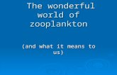 The wonderful world of zooplankton The wonderful world of zooplankton (and what it means to us)