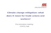 Climate change mitigation: what does it mean for trade unions and workers? Pre-orientation meeting COP13, Bali.