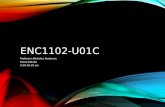 ENC1102-U01C Professor: Nicholas Anderson Room DM164 9:30-10:35 am.