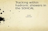 Tracking within hadronic showers in the SDHCAL Imad Laktineh.