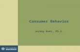 Consumer Behavior Jeremy Kees, Ph.D.. Model of Consumer Behavior.