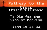 Pathway to the Cross Christ's Purpose To Die for the Sins of Mankind John 19:28-30.