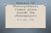 Process of Photosynthesis (takes place inside the chloroplast) 8-3 pg. 235.