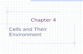 Chapter 4 Cells and Their Environment. Section 1: Passive Transport Cell need to maintain Homeostasis Controlling what moves across the cell membrane.