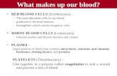 What makes up our blood? RED BLOOD CELLS (Erythrocytes) – –The most abundant cells in our blood; –produced in the bone marrow –hemoglobin which carries.