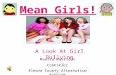 Mean Girls ! Monica Harrison Counselor Elmore County Alternative Program A Look At Girl Bullying.