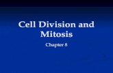 Cell Division and Mitosis Chapter 8. 11/19-11/21 Complete photo graph Complete photo graph Review for exam Review for exam Essay question topics Essay.