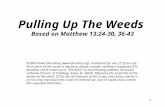 1 Pulling Up The Weeds Based on Matthew 13:24-30, 36-43 ©2005 David Skarshaug (). Conditions for use: (1) If you use all or parts of this.