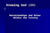 Knowing God (IV) Relationships and Roles Within the Trinity.