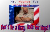 Mr. Wagner for President.... Mr. Wagner’s Background Age: 26 Hometown: Sinking Spring, PA Education: Wilson High School, Harvard University, Harvard Law.