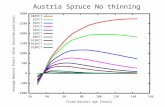 Austria Spruce No thinning. Austria Spruce 20 percent thinning.
