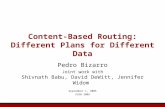 Content-Based Routing: Different Plans for Different Data Pedro Bizarro Joint work with Shivnath Babu, David DeWitt, Jennifer Widom September 1, 2005 VLDB.