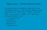 Species Interactions Interactions between species are categorized at the level where one population interacts with another. The five major types of species.