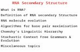 RNA Secondary Structure What is RNA? Definition of RNA secondary Structure RNA molecule evolution Algorithms for base pair maximisation Chomsky’s Linguistic.