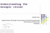 Understanding the mesopic vision Zoltán Vas Department of Image Processing and Neurocomputing University of Pannonia Hungary.