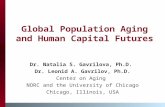 Global Population Aging and Human Capital Futures Dr. Natalia S. Gavrilova, Ph.D. Dr. Leonid A. Gavrilov, Ph.D. Center on Aging NORC and the University.