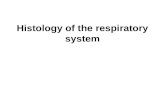 Histology of the respiratory system. Objectives  Discuss the microscopic features of Nasal cavity.  Discuss the microscopic features of Epiglottis.