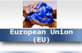 European Union (EU). The European Union was established in 1993. What does union mean? Why would European countries want a union?