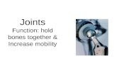 Joints Function: hold bones together & Increase mobility.