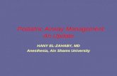 Pediatric Airway Management: An Update HANY EL-ZAHABY, MD Anesthesia, Ain Shams University.