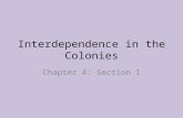 Interdependence in the Colonies Chapter 4: Section 1.