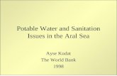 Potable Water and Sanitation Issues in the Aral Sea Ayse Kudat The World Bank 1998.