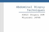 Abdominal Biopsy Techniques KAKUI Shigeru DVM Miyazaki JAPAN.