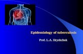 Epidemiology of tuberculosis Prof. L.A. Hryshchuk.