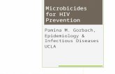 Microbicides for HIV Prevention Pamina M. Gorbach, Epidemiology & Infectious Diseases UCLA.