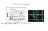 Normal electrocardiogram. P-Q or P-R Interval The time between the beginning of the P wave and the beginning of the QRS complex is the interval between.