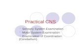 Practical CNS Sensory System Examination Motor System Examination Examination of Coordination (Cerebellum)