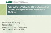 Interaction of Vitamin B12 and Ancestral Genetic Background with Adiposity in Children Wilnerys Colberg Hernández Mentors: José R. Fernández PhD & David.