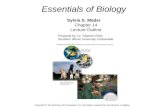 Essentials of Biology Sylvia S. Mader Chapter 14 Lecture Outline Prepared by: Dr. Stephen Ebbs Southern Illinois University Carbondale Copyright © The.