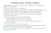 Molecular Systematics Systematics - the science of identifying, naming, and classifying living organisms into groups A natural activity of the human brain.