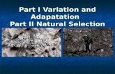 Part I Variation and Adapatation Part II Natural Selection.
