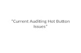 “Current Auditing Hot Button Issues”. What Are Hot Button Issues Hot button issues for business leaders include a range of complex matters, including.