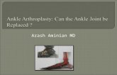 Arash Aminian MD. Anatomy Biomechanics History Current Designs Indications Results Cases.