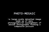 PHOTO-MOSAIC ~a large-scale detailed image made up of many photographs/an arrangement of aerial photographs forming a composite picture.