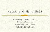 Wrist and Hand Unit Anatomy, Injuries, Evaluations, Treatments, and Rehabilitation.