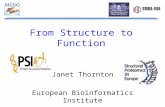 From Structure to Function Janet Thornton European Bioinformatics Institute.