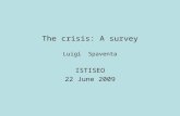 The crisis: A survey Luigi Spaventa ISTISEO 22 June 2009.
