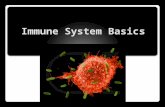 Immune System Basics. Immune Response It is when the immune system attacks organisms and substances that invade our body.