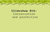 Slideshow B16: Conservation and protection. What is being done to help endangered species? There are several ways we can conserve and protect endangered.